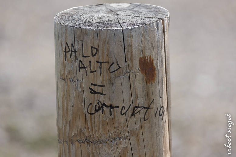 emily renzel wetlands 2025